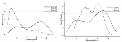 Effect of Working After Retirement on the Mental Health of Older People: Evidence From China